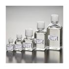 IVF basics HTF HEPES with 0,4% HSA 30ml Artikel foto