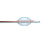 Folysil silicone Katheter Ch12 male straight 15ml 2-weg 41cm 2-ogen Artikel foto
