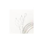 Olympus extractiemand flowerbasket 8-draads steen 20mm distaal geleide fg-v431p Artikel foto