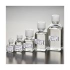 IVF basics HTF HEPES with 0,4% HSA 60ml Artikel foto