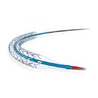 Promus Premier BTK 2,5x38mm stent Artikel foto