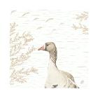 Servet Wood and Goose Bio Dunisoft 40x40cm Artikel foto