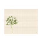 Bio Dunicel placemat 30x40cm Green Umbles Artikel foto