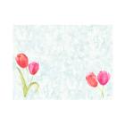 Bio Dunicel placemat 30x40cm Painted Tulips Artikel foto