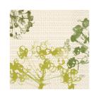 Tissue servet 33x33cm Green Umbles 3-laags Artikel foto