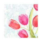 Bio Dunisoft servet 40x40cm Painted Tulips Artikel foto