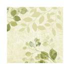 Servet BIO Dunisoft 40x40cm Paisley Artikel foto
