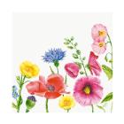 Servet BIO Dunisoft Flowy Melody 40x40cm Artikel foto