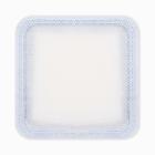 B-WISE superabsorberend verband met actieve kool, 10x10cm Artikel foto