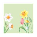 Servet 3-laags Spring melody 24x24cm Artikel foto
