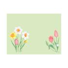 Placemats BIO Dunicel Spring melody 30x40cm Artikel foto