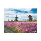 Placemat 30x40cm papier 60g Molen Tulpen King Artikel foto