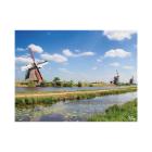 Placemat zomer molen papier 30x40cm 60g King Artikel foto