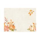 Placemats BIO DC 30X40 Spicy Pumpkin Artikel foto