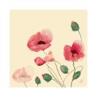 Servet Poppy Charm Bio Dunisoft 40x40cm Artikel foto