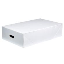 Papkasse l&aring;g 585x385x170 mm med H&aring;ndtag Massiv pap Hvid/Brun product photo