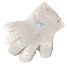 Handske Engangs Højre PE på Blok product photo