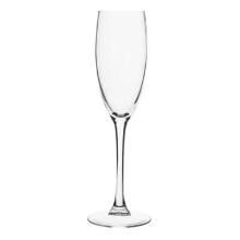 Champagne glass Cabernet 16 cl &Oslash;7x22.5 cm on stand product photo