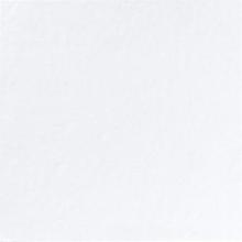 Napkin Finess 33x33 cm 2-ply White product photo