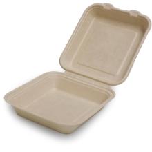 Bakke 1-rum 220x195x75mm bagasse med h&aelig;ngslet l&aring;g product photo