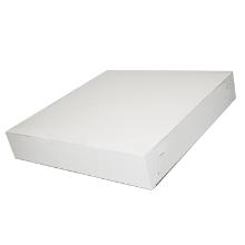 Box 300x300x50 mm White product photo