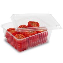 Plastic tray 2500 ml 230x180x85 mm PP transparent product photo