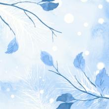 Napkin Dunisoft Airlaid 40x40cm FSC Frosted Winter product photo