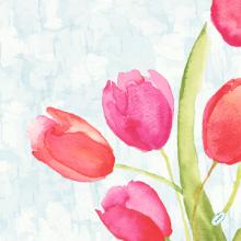 Napkin Bio Dunisoft L40xW40cm Painted Tulips product photo
