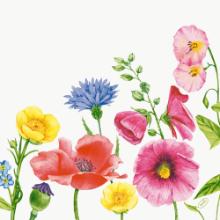 Duni Bio Dunisoft&reg; napkin 40x40 cm Flowy Meadow print product photo