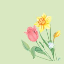 Serviet Bio Dunisoft Spring Melody 40x40cm Floret product photo