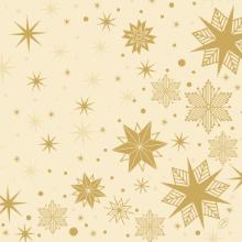Napkin Bio Dunisoft Airlaid 40 x 40 cm Stargazing Cream product photo