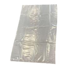 Clear LDPE Bag 600 x 1000 mm - 80my product photo