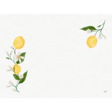 Duni Placemat 30&times;40 cm, Lemon Fiesta, White Paper with Pattern product photo