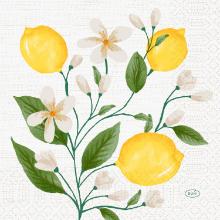 Serviet Duni 33x33cm 3-lags Lemon Fiesta product photo