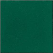 Napkin Dunilin 40x40 cm Dark green product photo