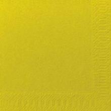 Napkin Duni 40x40 cm 3-ply Kiwi 125 pcs product photo
