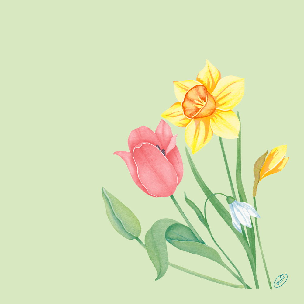 Serviet Bio Dunisoft Spring Melody 40x40cm Floret,60 stk/pk