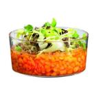 Bowl Bodega 120 ml &Oslash;76x35 mm PS Clear product photo