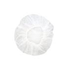 Hairnet size L Extra width PP White product photo