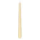 Antiglow &Oslash;22x250 mm Burning time 6.5 hours Cream product photo