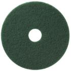 Rondel TASKI Americo Pad EURO 14 inches 28x355 mm Green for Cleaning product photo