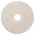 Rondel TASKI Americo Pad EURO 21 tommer 28x530 mm Hvid til Polering product photo