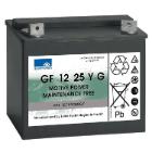 Battery gel 12V 25Ah black for Taski Swingo 350B product photo