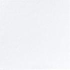 Napkin Finess 33x33 cm 2-ply White product photo