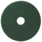 Rondel TASKI Americo Pad EURO 21 tommer  28x530 mm Gr&oslash;n til Reng&oslash;ring product photo