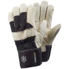 Gloves Tegera 203 size 10 product photo