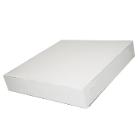 Box 300x300x50 mm White product photo