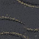Napkin Dunisoft Airlaid 40x40 cm Golden Stardust Black product photo