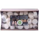 Fyrfadslys Br&aelig;ndetid 7 timer neutral voks fra rapsolie i Plast Klar product photo