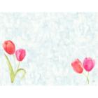 D&aelig;kkeserviet Bio Dunicel L30xB40cm Painted Tulips product photo